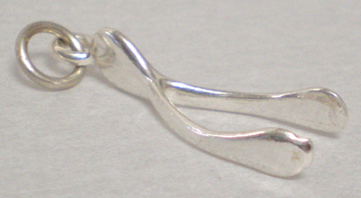 wishbone_front