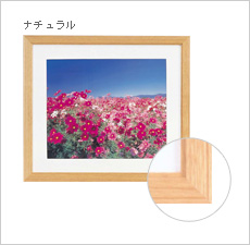 コスモス