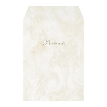 写真袋普通２Ｌ