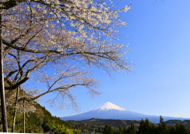 ◇富士山写真額セット