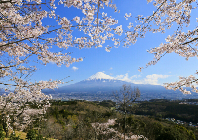 fujiyama1005.jpg