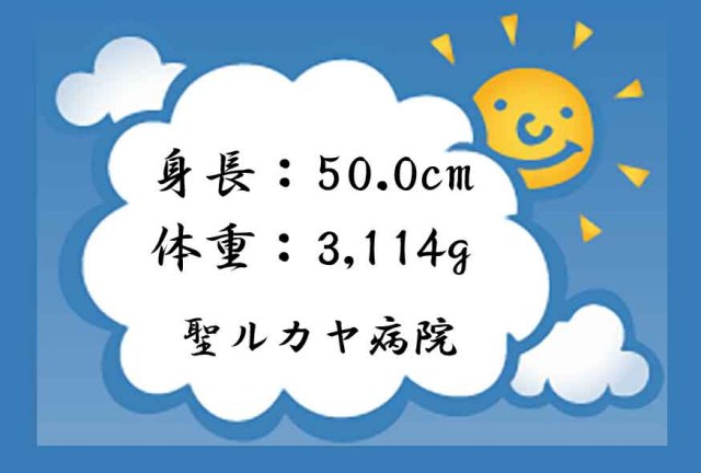 命名　太陽