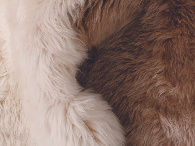 SHEEP SKIN ネイチャーズコレクション / BKF バタフライチェア