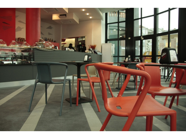 椰子の木　MAGIS マジス Air-Armchair 2脚 椰子の木 MAGIS マジス Air-Armchair 2脚 MAGIS マジス RE Air