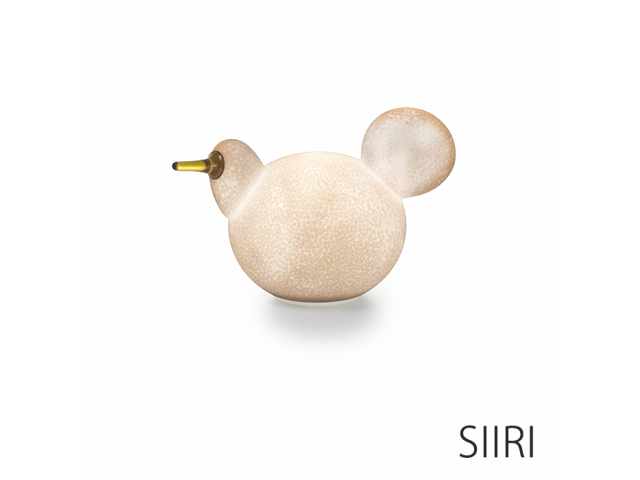 LINNUT リンナット MAGIS マジス インテリア 雑貨 iittala イッタラ