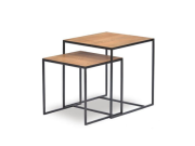 TWO NEST TABLE トゥネストテーブル dareels ダリールズ/チーク古材