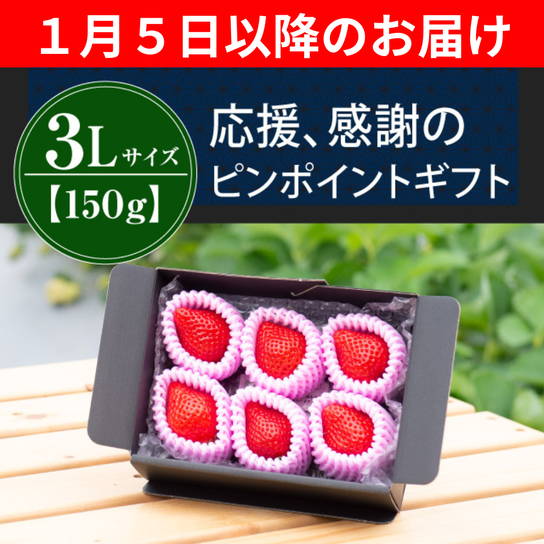 １月５日以降のお届け_３L15０g