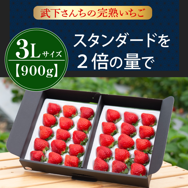 3L450g_通年イメージ