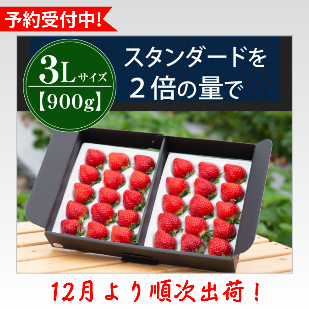 3L900g_予約受付中
