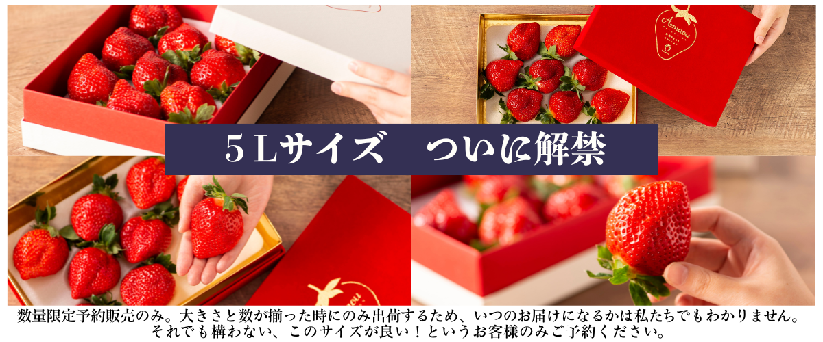 5L予約受付開始