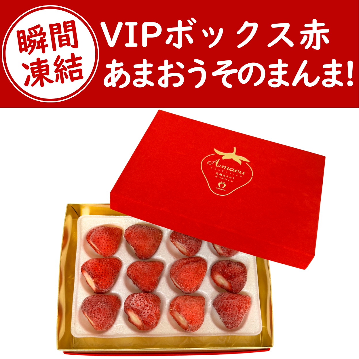 瞬間凍結_VIP赤_3L表紙