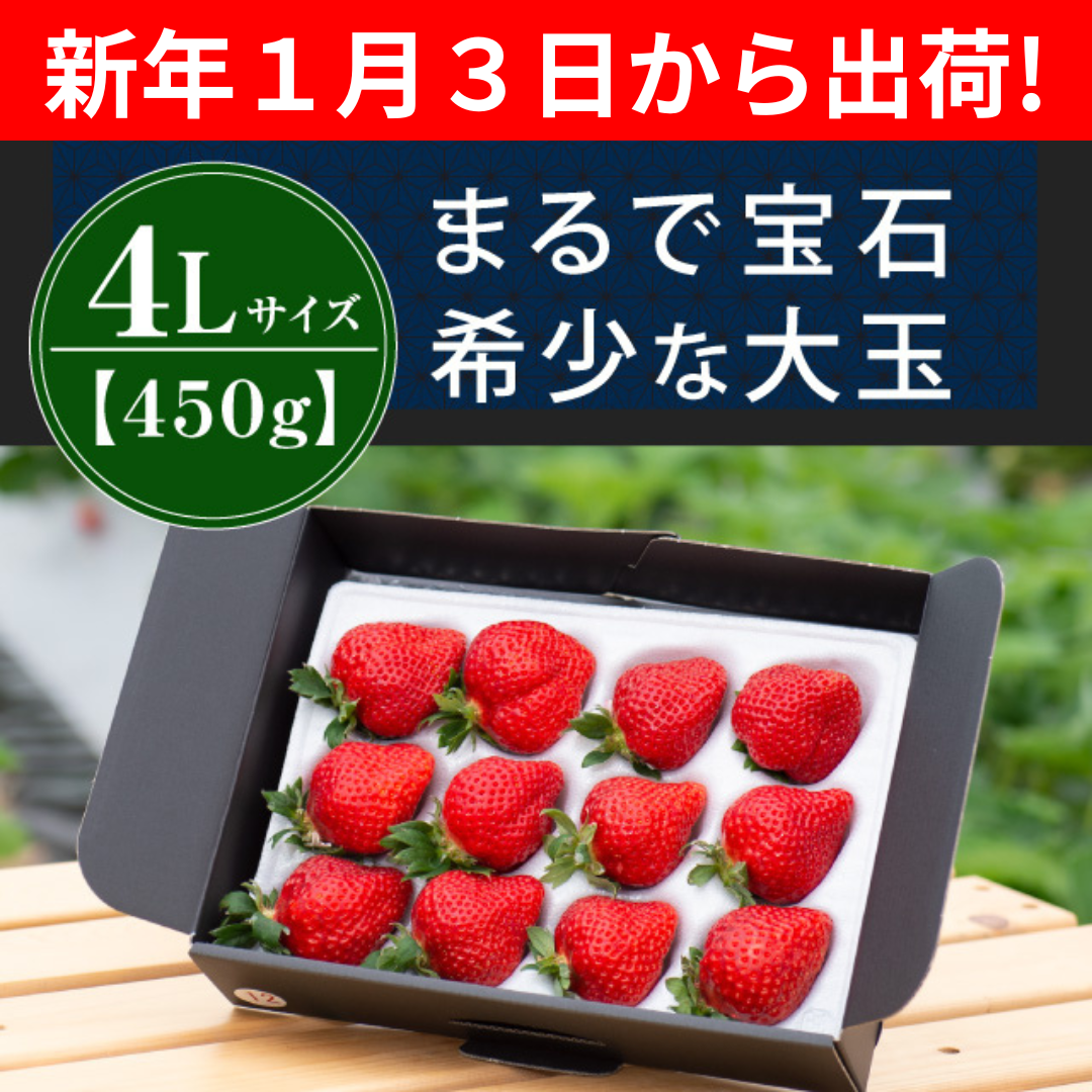 １月３日から出荷_4L450