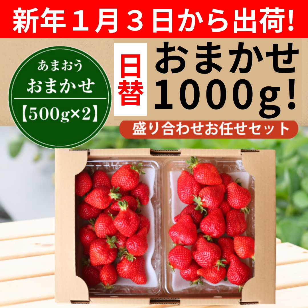 １月３日から出荷_日替