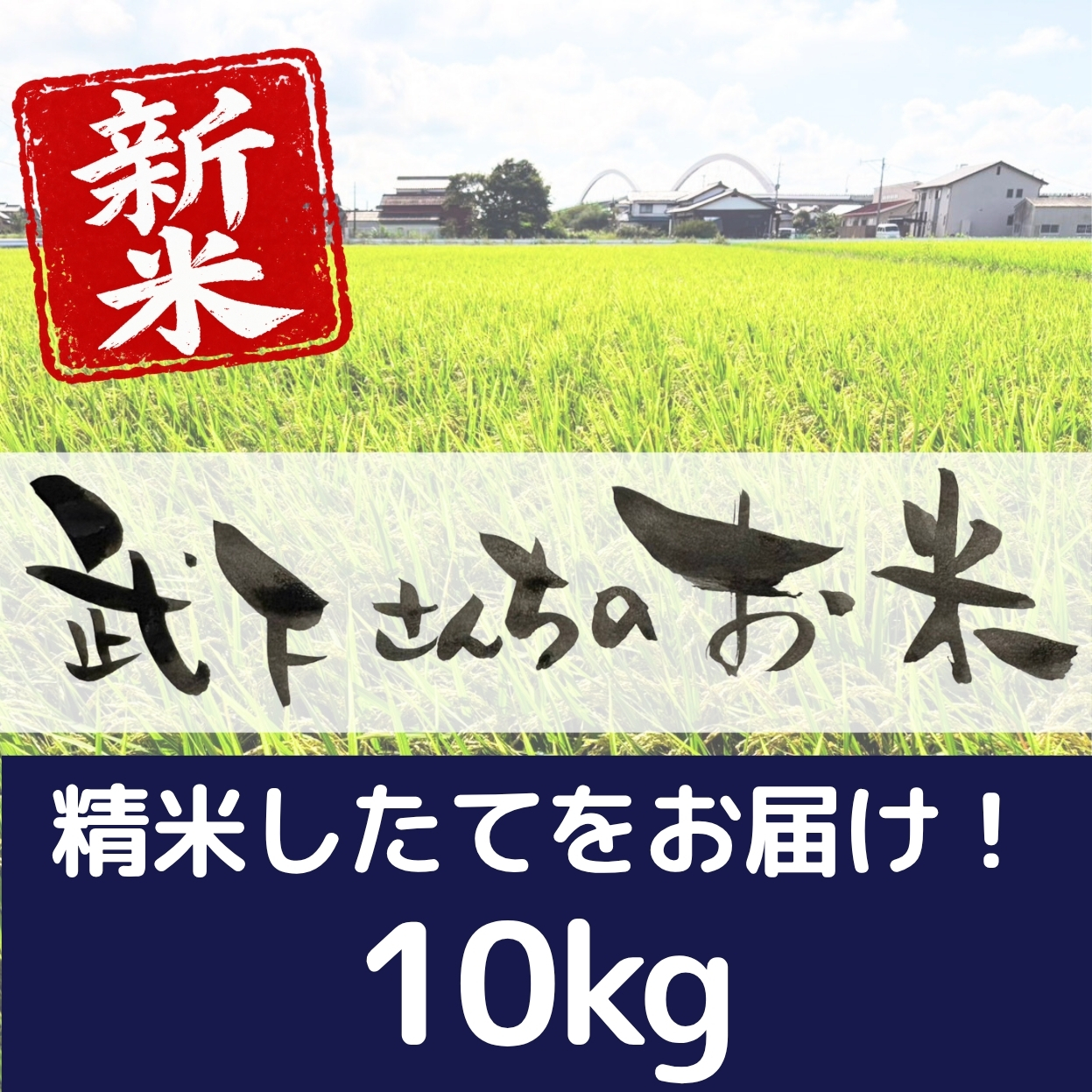 新米10kg