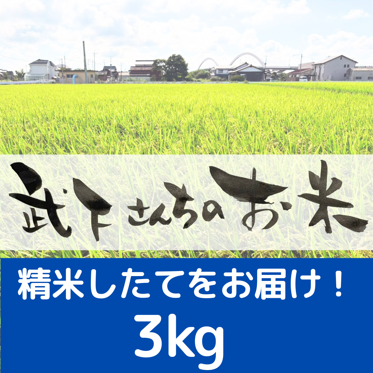 無くなり次第終了【都度買い】精米したてでお届け！武下さんちのお米_３kg