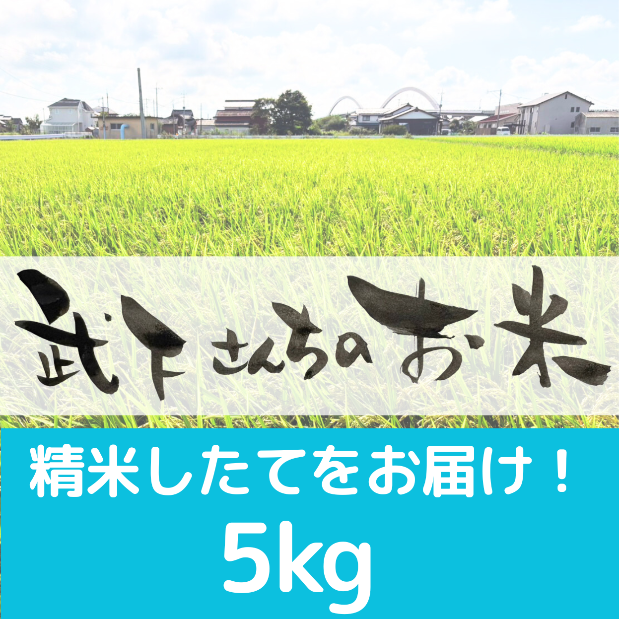 無くなり次第終了【都度買い】精米したてでお届け！武下さんちのお米_５kg