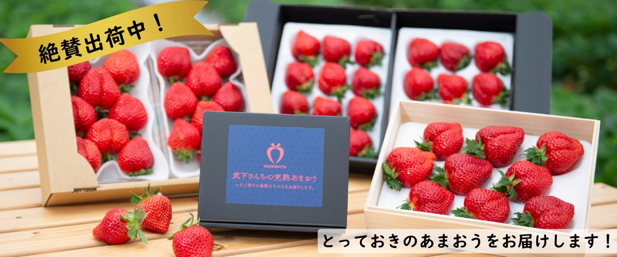 バナー_絶賛出荷中