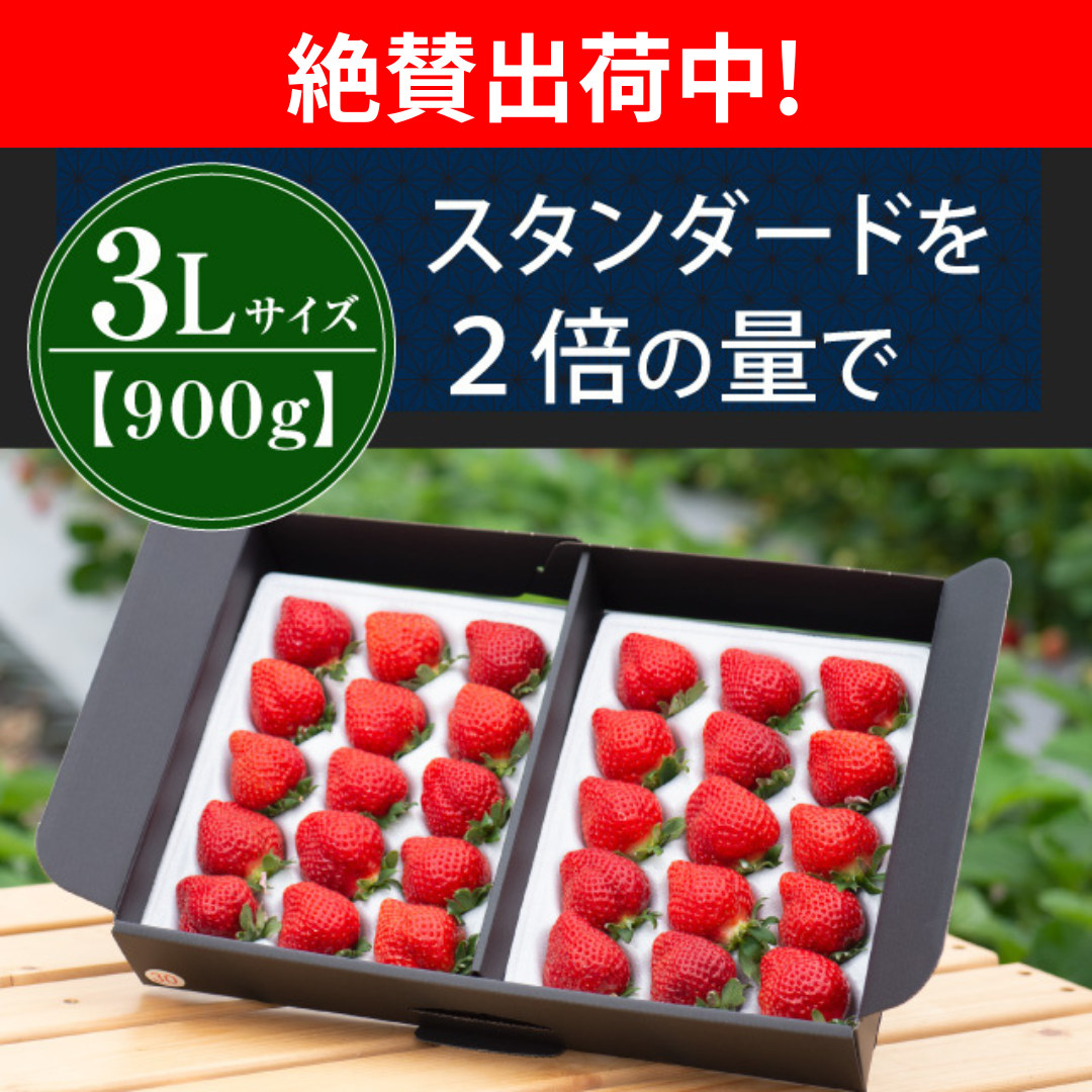 絶賛出荷中_3L900