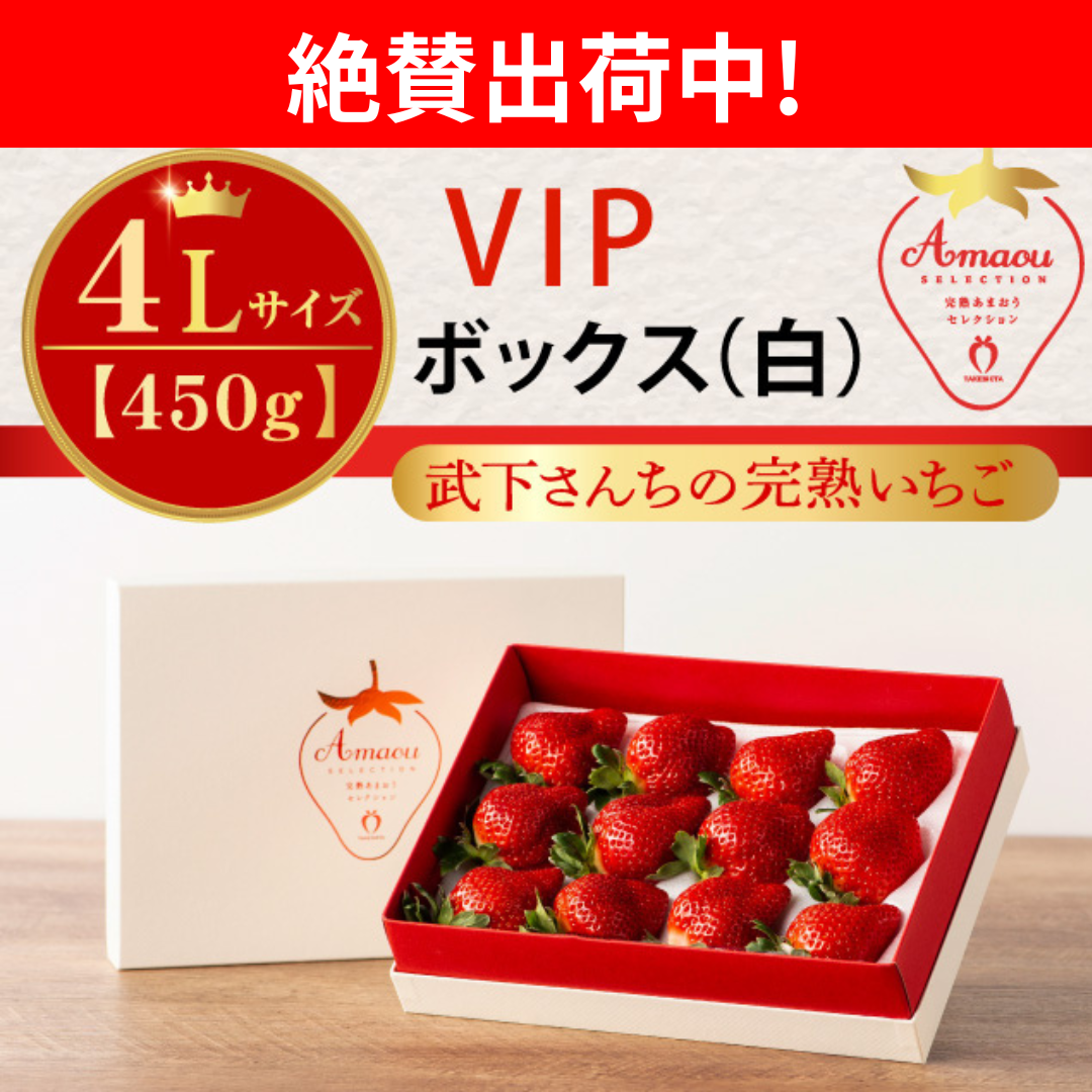 絶賛出荷中_VIP白_3L450