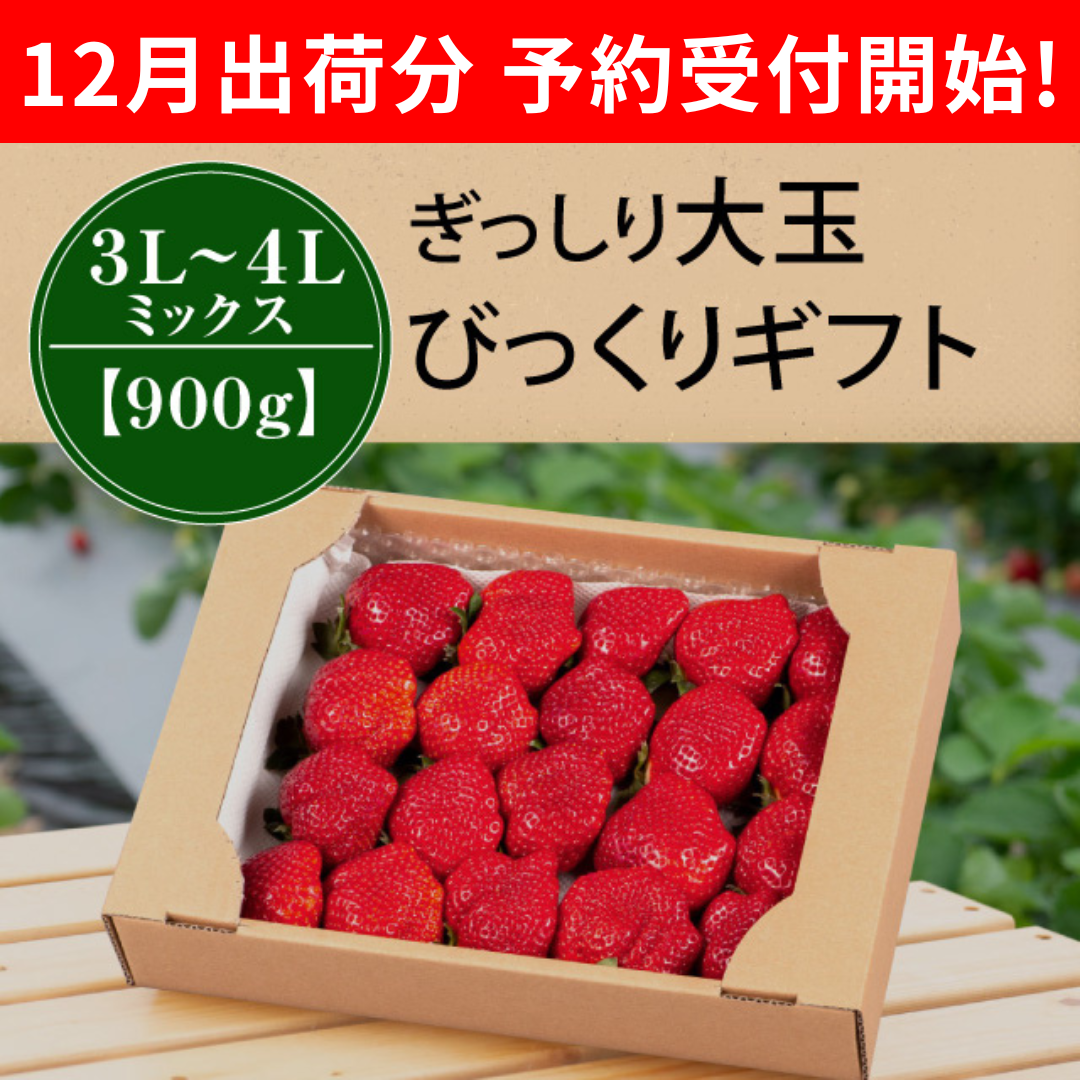 3L4LMIX900g_予約開始