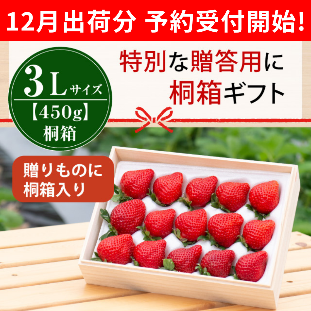 桐箱_3L450_予約開始