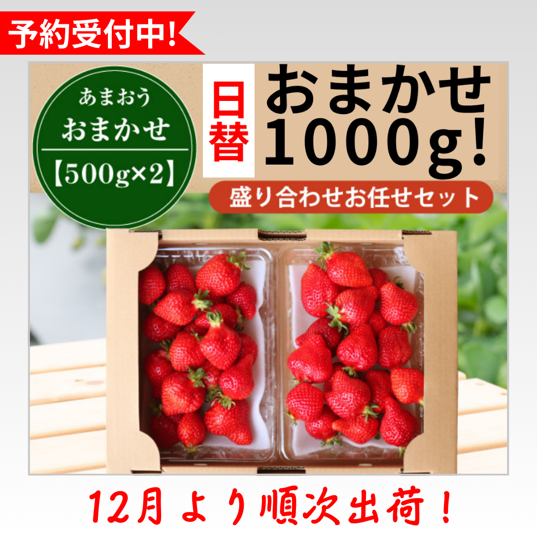 日替_予約受付中