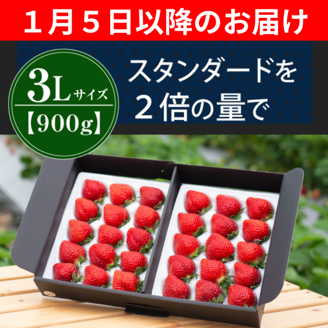 １月５日以降のお届け_３L90０g