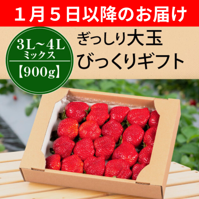 １月５日以降のお届け_MIX90０g