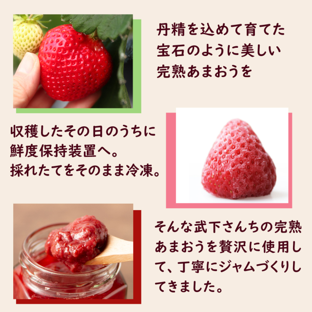 手作りジャムキット