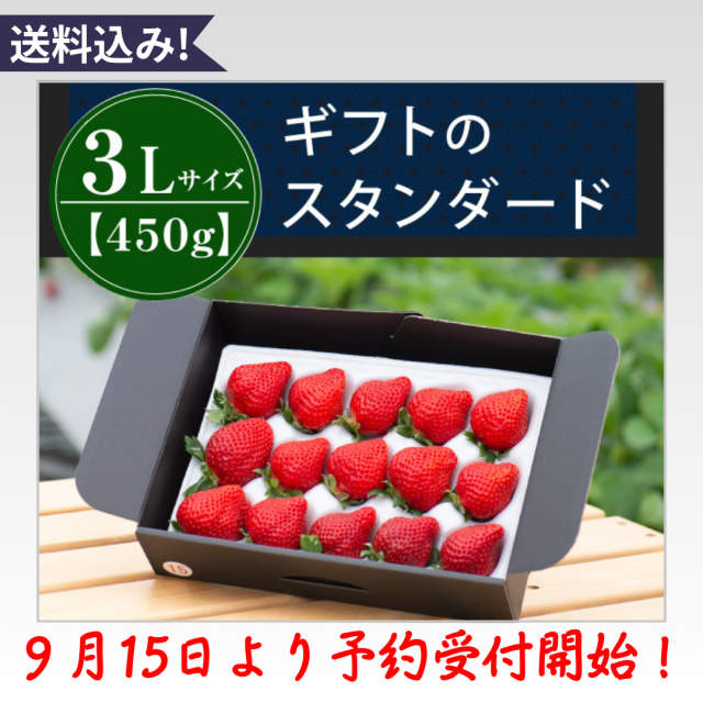 3L450g予約開始