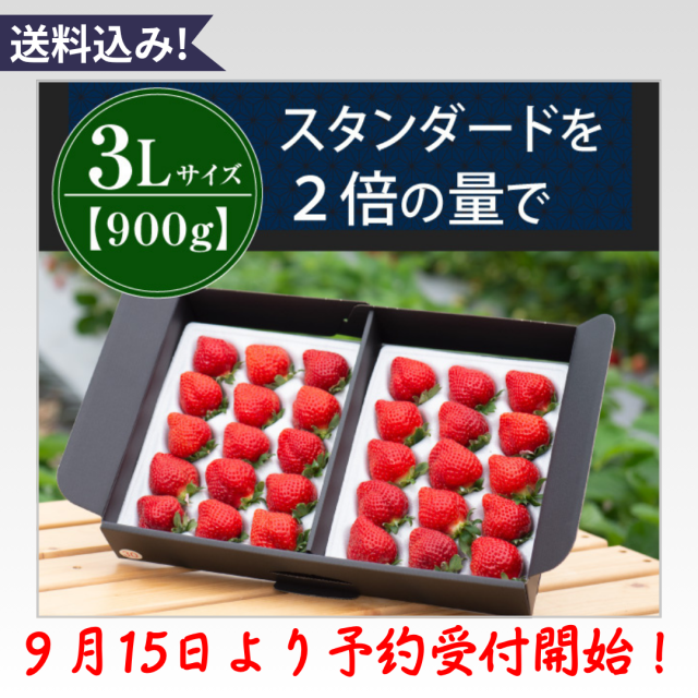 3L450g予約開始