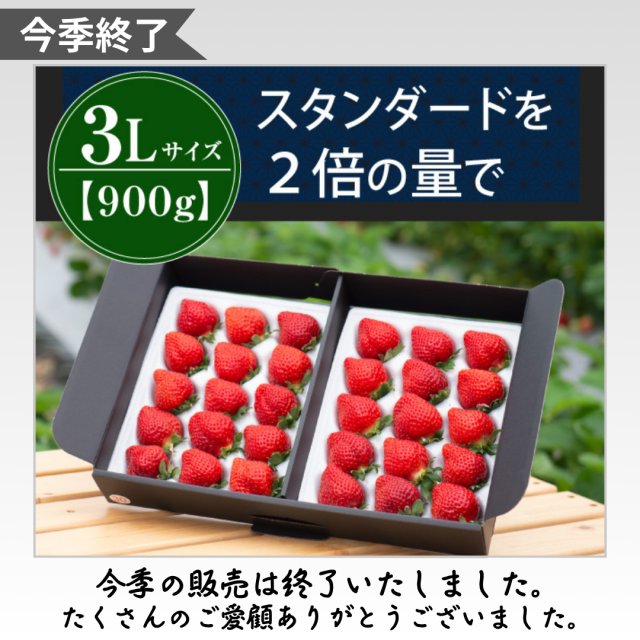 今季終了_3L900g