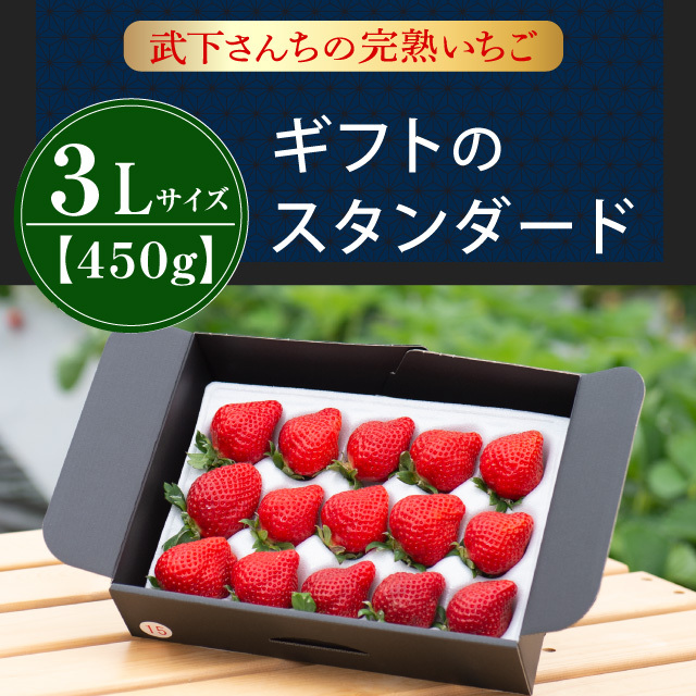 3L450g通年イメージ