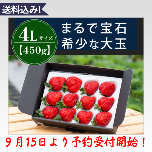 福岡の産直いちご農家 武下さんちのあまおう4Lサイズ450g入り 希少
