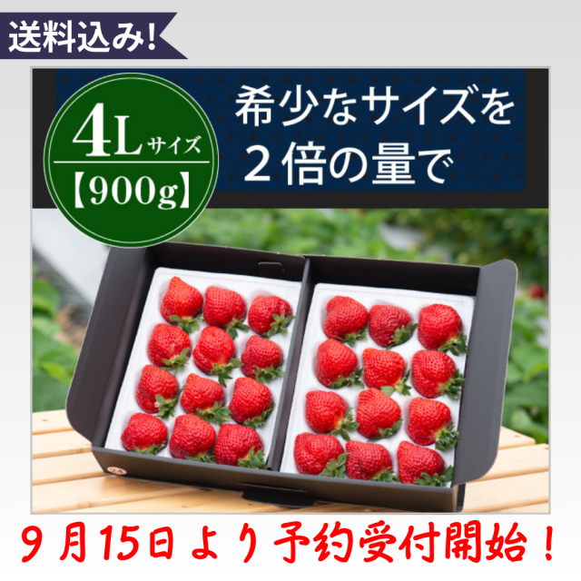 4L900g予約開始