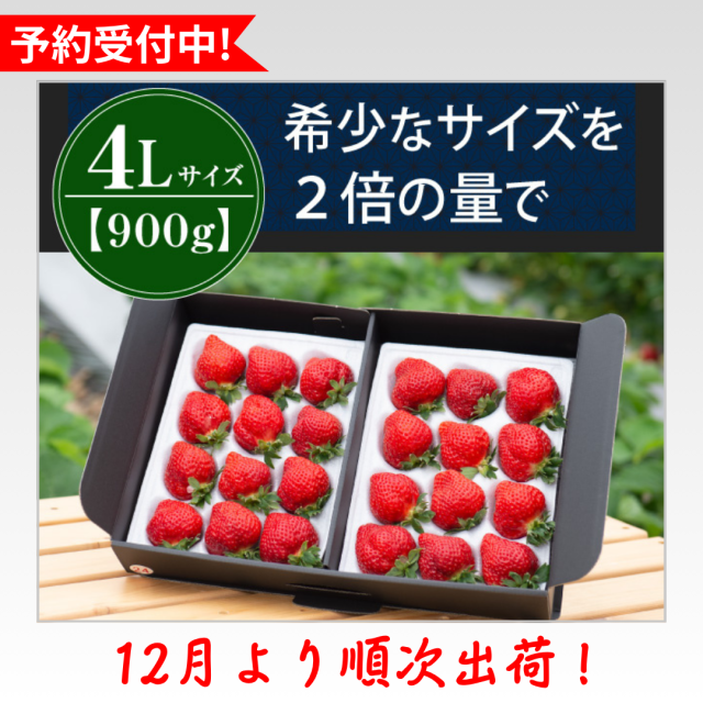 4L900g_予約受付中