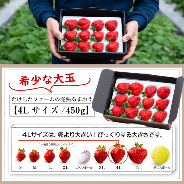 完熟あまおうギフト4lｰ450g