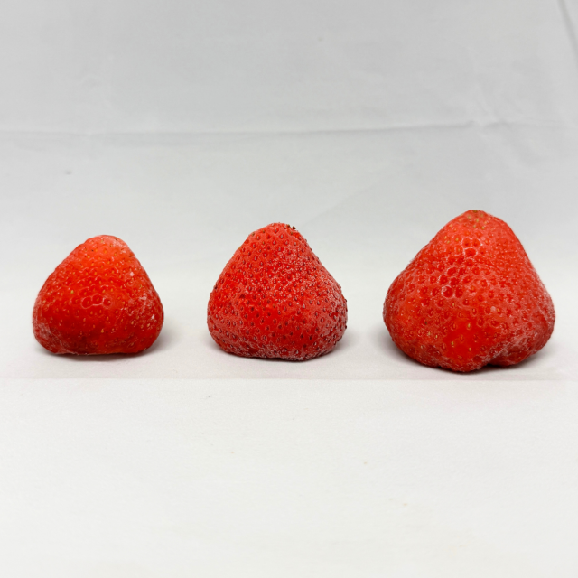 瞬間凍結_サイズ