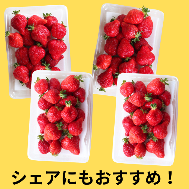 大豊作2箱シェア