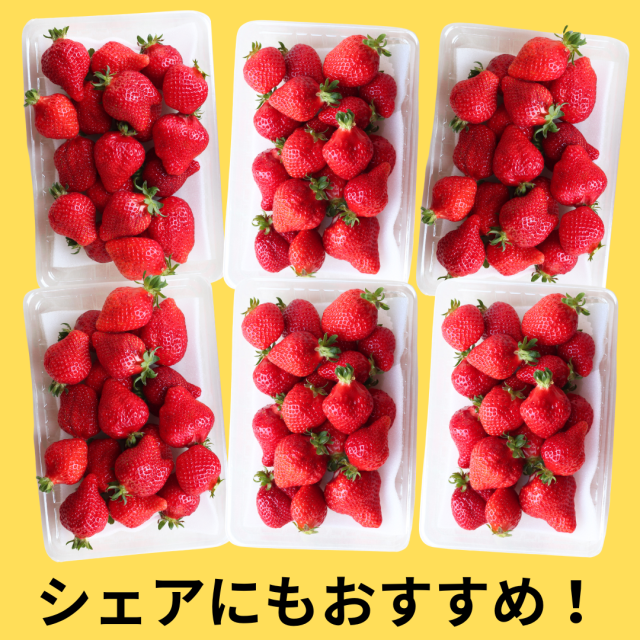 大豊作３箱シェア