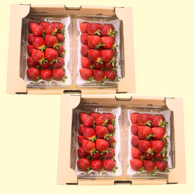 口福箱_２箱イメージ