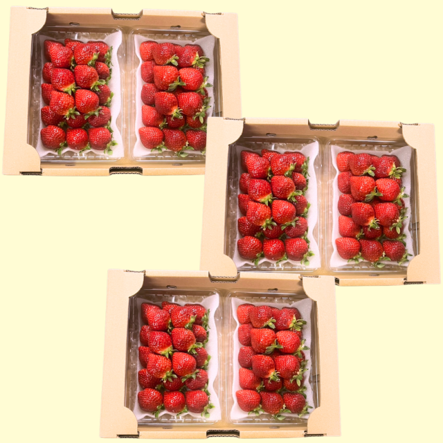 口福箱_３箱イメージ