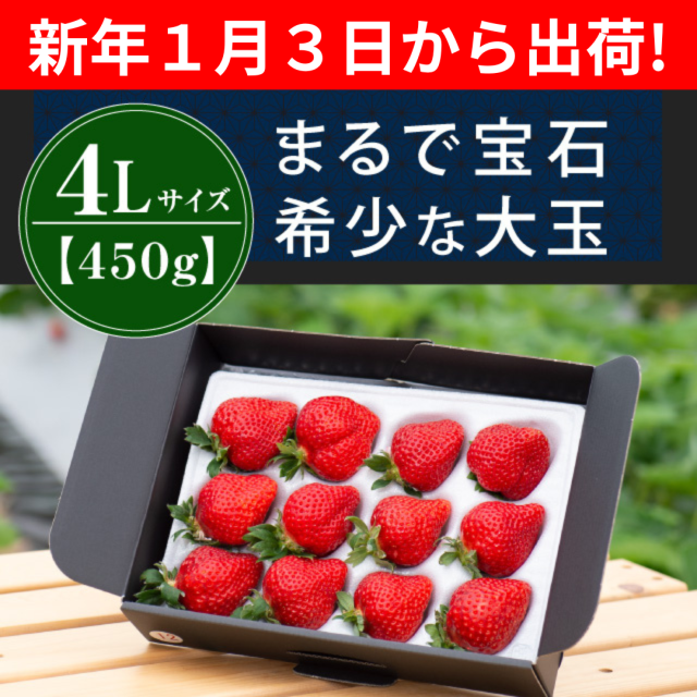 １月３日から出荷_4L450