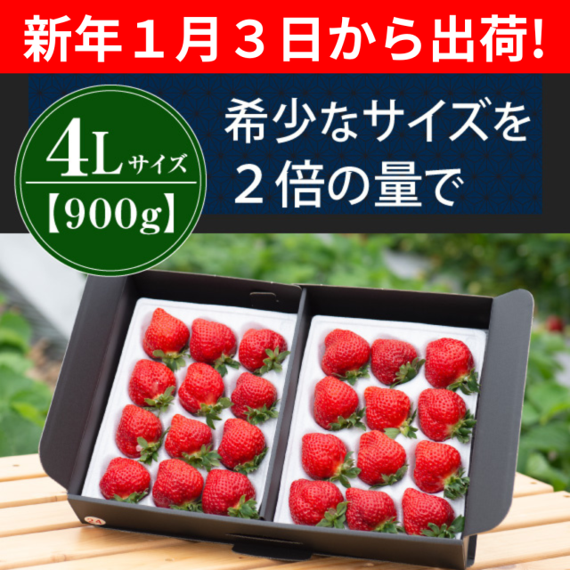 １月３日から出荷_4L900