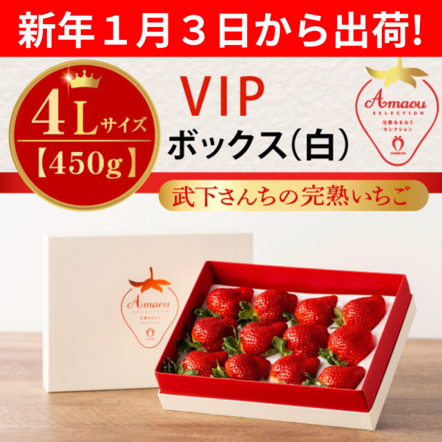 １月３日から出荷_vipWH_4L450