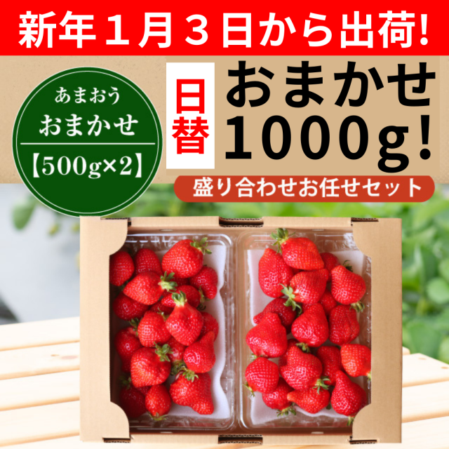 １月３日から出荷_日替