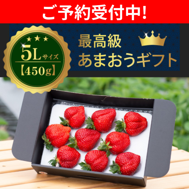 予約受付中_5L450g