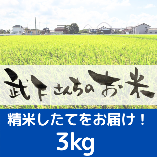 無くなり次第終了【都度買い】精米したてでお届け！武下さんちのお米_３kg