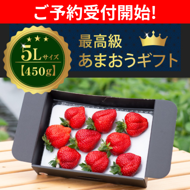 予約受付開始_5L450g