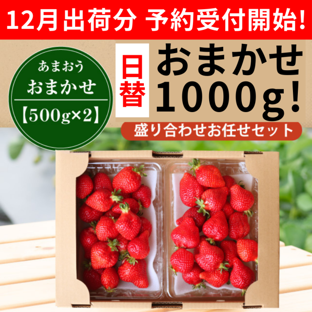 日替1000_予約開始